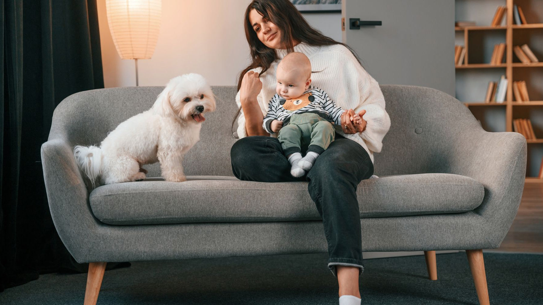 How To Dog Or Baby Proof Your Couch For A Stress-free Home
