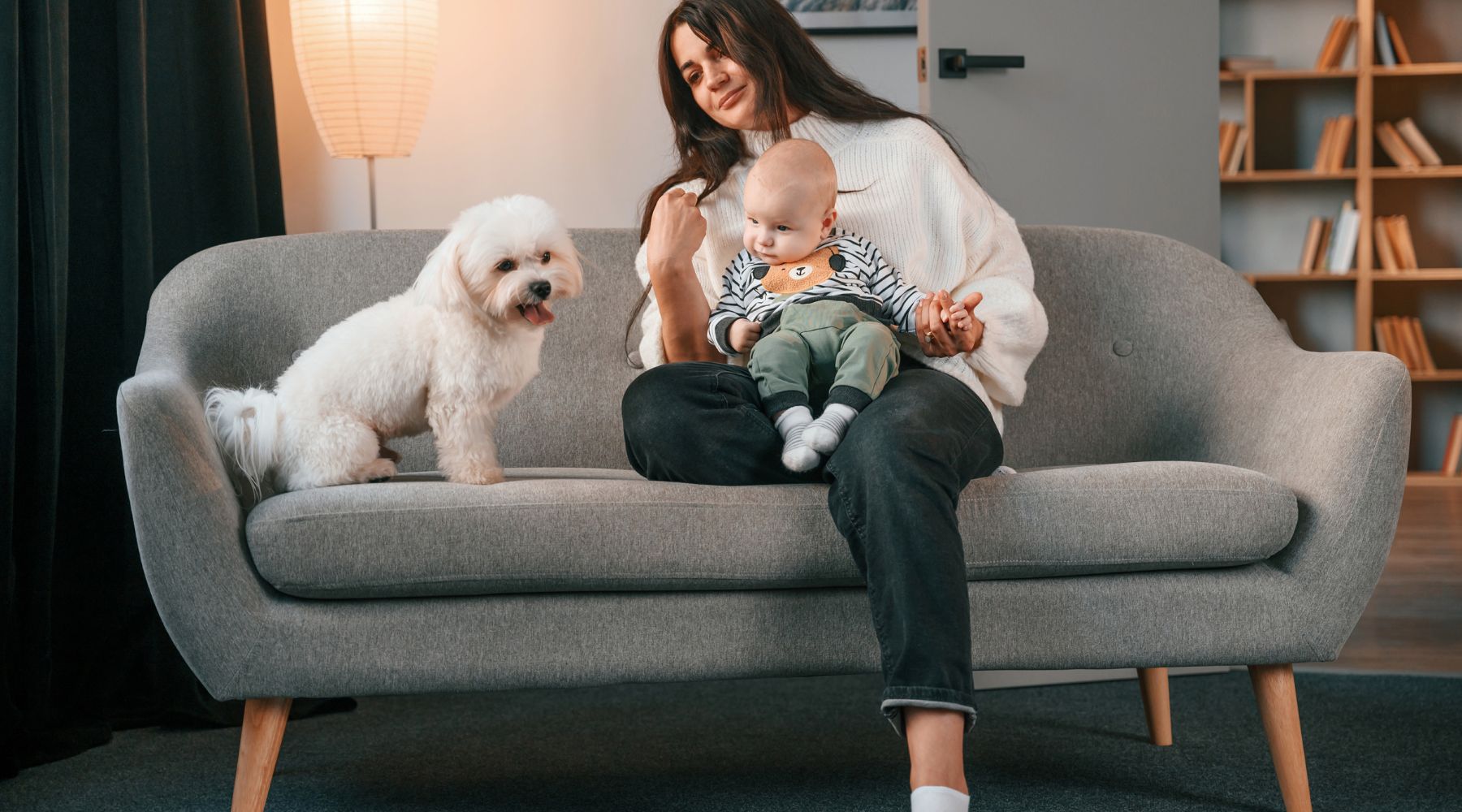 How To Dog Or Baby Proof Your Couch For A Stress-free Home