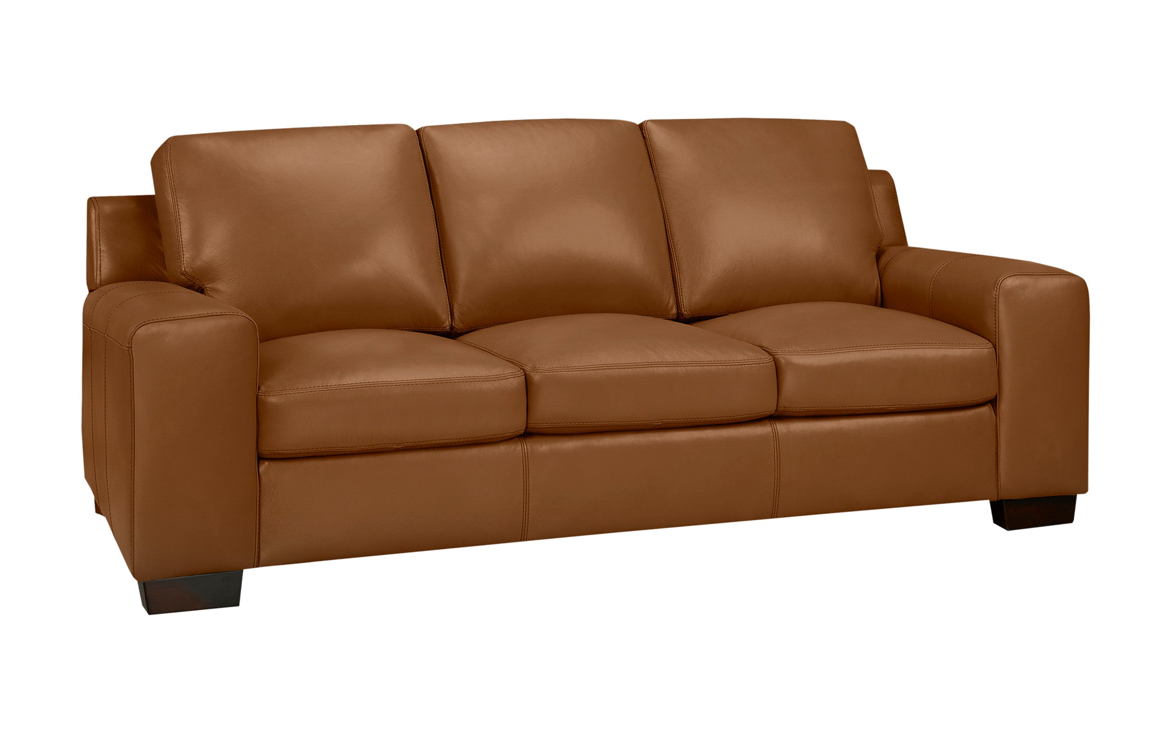 Bailey Sofa - Top Grain Leather Saddle